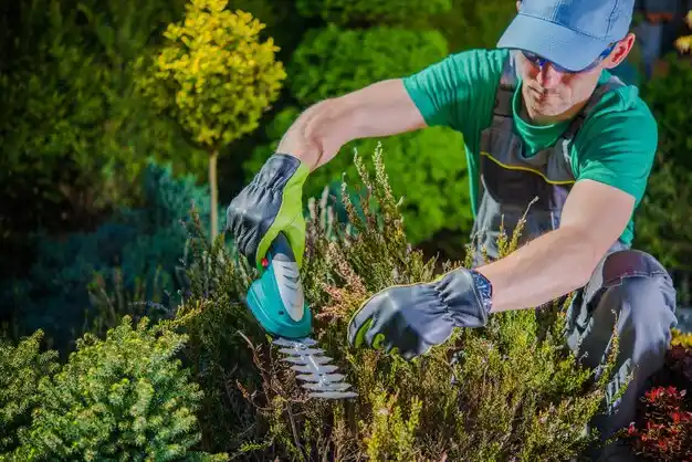 landscaping services Hamden
